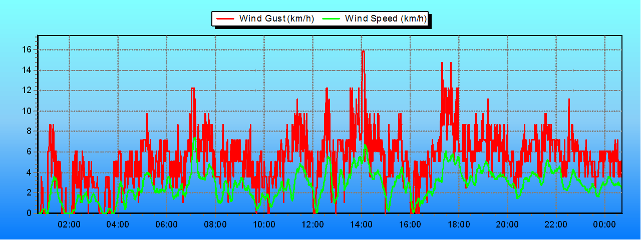 Weather Graphs